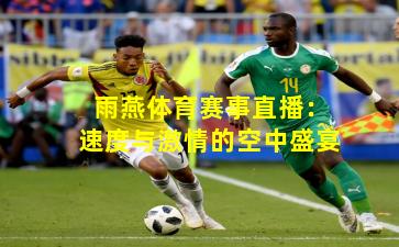 雨燕体育赛事直播：速度与激情的空中盛宴