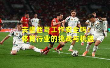 去墨西哥工作安全吗：体育行业的挑战与机遇