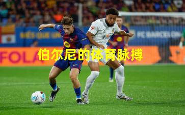 伯尔尼的体育脉搏