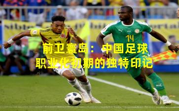 前卫寰岛：中国足球职业化初期的独特印记