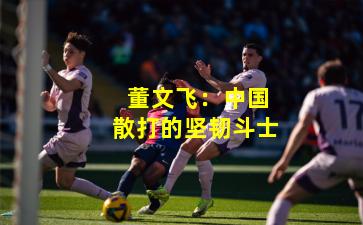  董文飞：中国散打的坚韧斗士