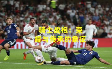 骑士战袍：荣耀与传承的象征