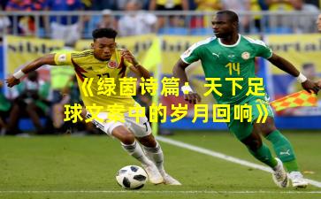 《绿茵诗篇：天下足球文案中的岁月回响》